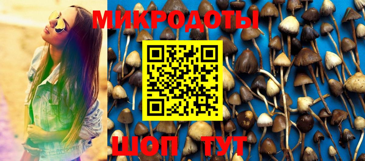 Симферополь  Псилоцибиновые грибы прущие грибы  Вход с VPN 