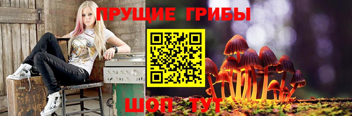 Псилоцибиновые грибы мицелий Симферополь